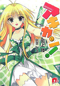 http://manga-chronicle.cowblog.fr/images/Akikanlightnovelvolume1cover.jpg